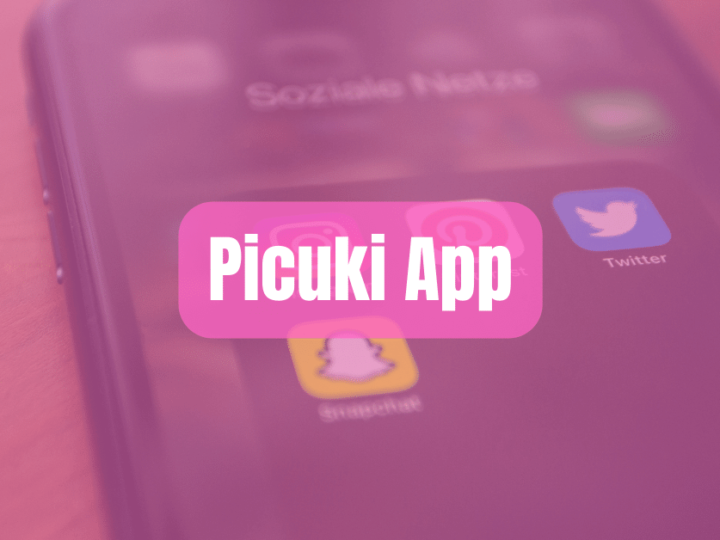 Picuki App
