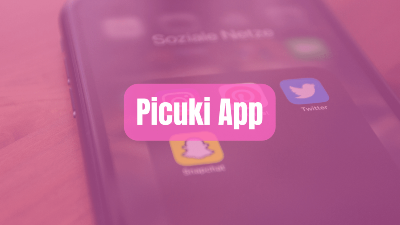 Picuki App